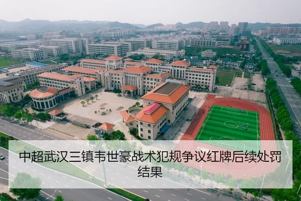 中超武汉三镇韦世豪战术犯规争议红牌后续处罚结果